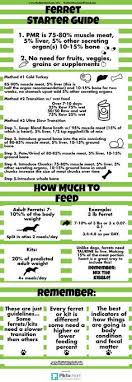 new ferret food chart facebook lay chart