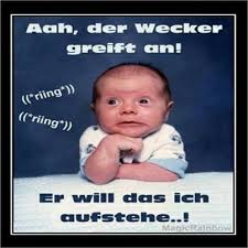 Habt Einen Schonen Tag Guten Morgen Lustig Guten Morgen Baby Lustige Guten Morgen Grusse