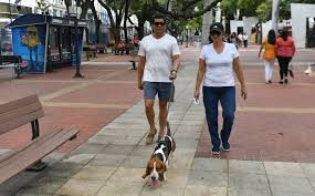 Desde este domingo, las mascotas pueden ingresar al Malecón 2000 a partir  de las 08:00; excepto los feriados - Qué Noticias