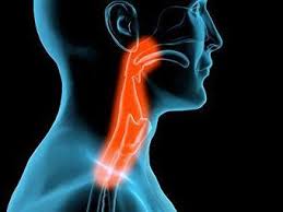 Check spelling or type a new query. Mengapa Terdapat Sakit Tekak Kronik Rawatan Penyakit