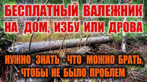 Поиск и добыча воды в лесу зимой
