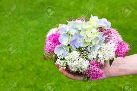 I fiori estivi così come quelli primaverili sono sicuramente tra i più belli, allegri e colorati. Immagini Stock Mano Che Da Bouquet Di Fiori Estivi Su Vaso Con Sfondo Di Erba Image 65538034