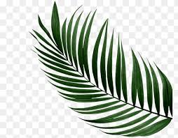 All png & cliparts images on nicepng are best quality. Unduh Gambar Daun Png Gratis Wallpaper 200 Gambar Daun Png Gambar Id Gambar Daun Png Gambar Daun Animasi Png Gambar Daun Png Gambar Png Ilustrasi