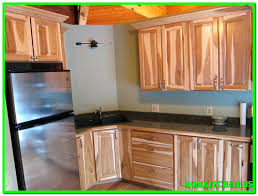 appealing home depot cabinet refacing