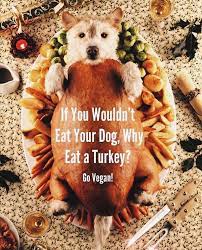 Pin On Vegan