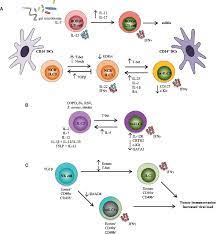 Stream tracks and playlists from saleem gill on your desktop or mobile device. Frontiers Cytokine Mediated Regulation Of Innate Lymphoid Cell Plasticity In Gut Mucosal Immunity Immunology