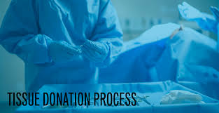 Image result for Tissue Donation