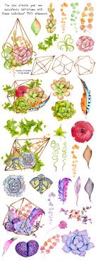 Polish your personal project or design with these plant drawing transparent png images, make it even more personalized and more attractive. Succulents Terrarium Creator Vol 1 In Illustrations On Yellow Images Creative Store Flower Drawing Flower Art Plant Painting Art