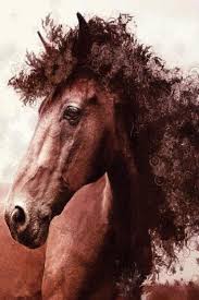 Curly Hair Horse Lol Horses Horse Wallpaper Animals