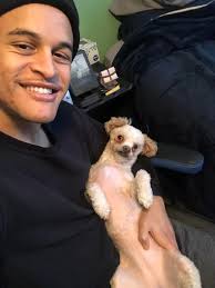 Need a female terrier/shih tzu for crossing. Around kandy