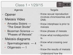 In the process of meiosis, chromosomes begin to match up in homologous pairs. Sem 2 Biology Agenda And Targets 2015