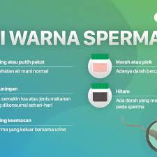 Air kencing berwarna merah orange. Warna Sperma Bisa Berbeda Apa Artinya Bagi Kesehatan