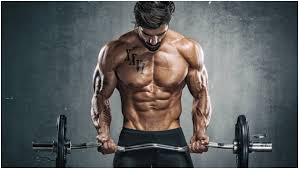 clenbuterol with the right cycles