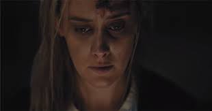 Filmes de Patrick Daou