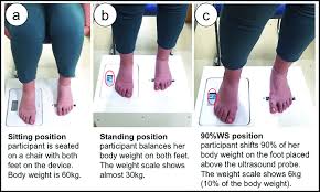 Measurement Positions A Sitting Position Participant Is Seated On A Download Scientific Diagram