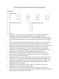 Kunci Jawaban Biologi Kelas 10 Kurikulum 2013 Revisi Ilmusosial Id