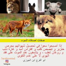 صفات و اضرار أصدقاء و رفاق السوء عند ابن الجوزي arabic quotes arabic words pics