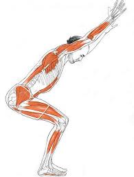 Yoga Muscles In Standing Poses Yoga Anatomy Yoga Muscles Yoga Poses