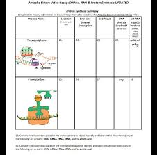 Unzipping of dna, formation of mrna, attaching of mrna to the ribosome access to all gizmo lesson materials, including answer keys. Splendi Amoebars Worksheets Image Ideas Protein Synthesis Youtube Dna Replication Pogil Immune System Boosters Jaimie Bleck