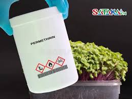 Image result for Pyrethroid