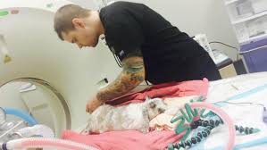 Not all vets are comfortable caring for exotic pets. Exotic Animal Department Central Hospital For Veterinary Medicine