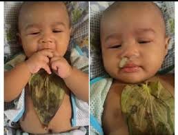 Keluarnya lendir saat batuk sering menunjukkan pemulihan yang cepat. Saya Orang Johor Petua Menghilangkan Batuk Berkahak Bayi Dan Kanak Kanak Dengan Daun Sireh Sebagai Ibu Sekiranya Anak Atau Bayi Selsema Batuk Berkahak Berterusan Pasti Akan Membimbangkan Bayi Pula Tidak Digalakkan Dengan