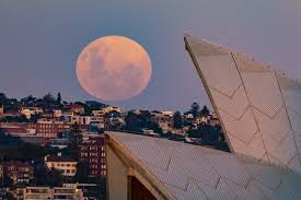 This month, may's full flower moon is more potent than ever, as a supermoon with a total lunar eclipse. Xlspgxxdzbie1m