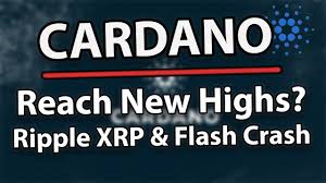 24, ripple has continued to drop. Cryptocoin Collapse Sci To Add Xrp Ruen Thai Massage Essen