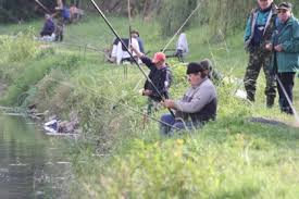 Banatul timișoara was a former football club in timișoara, romania. Se Inchide Pescuitul Incep Popularile