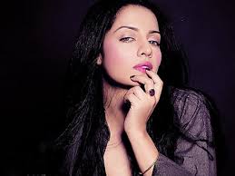 Celina always ensures that her personal hairdresser always uses a heat protectant before curling or ironing her hair. Hd Wallpaper Celina Jaitley In Dress Wallpaper Flare