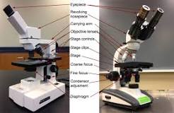 Image result