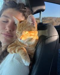 augie's first camping trip 🏕️