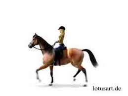How many cartoon horse stock photos are there? Horse Animation Youtube