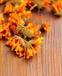 Pin On Medicinal Plants