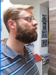 today's beard