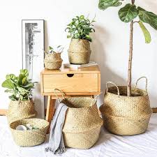 Innenraum Innendesign Wohntrends Wohnaccessoires Weidenkorb Bepflanzen Einfach Gartentrends Upcycling Wic Pflanzenhalter Zimmerpflanzen Dekor Pflanzkorb
