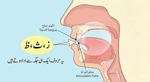 لسان مستعلي (ظ)