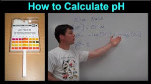 A 2.0 l solution of 0.5 m hydrochloric acid (hcl). What Is The Ph Of A Solution That Has A Hydronium Ion Concentration Of 1 00 Times 10 4 M Socratic