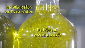 Lien youtube de la vidéo : Processus De Fabrication De L Huile D Olive Extra Vierge Tramier Youtube