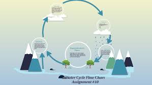 Water Cycle Flow Chart By J Stiles On Prezi