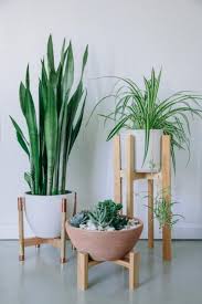 Las plantas y las flores son elementos excelentes para decorar nuestra sala ya que a continuación te mostraré imágenes con una excelente decoración de salas con plantas. 34 Excellent Diy Apartment Decor Ideas Decoracion De Casa Con Plantas Decoracion Plantas Plantas De Interior