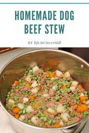Homemade Dog Beef Stew Healthy Dog Food Recipes Dog Food Recipes Healthy Dog Food Homemade