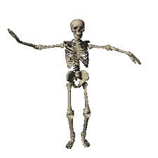 Share tweet pin it email whatsapp. Gifs Of Skeletons Dancing