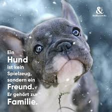 Pin Auf Hundespruche Dog Quotes