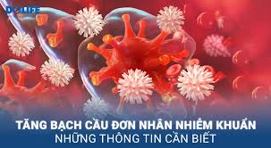 Tăng bạch cầu đơn nhân nhiễm khuẩn: Dấu hiệu, chẩn đoán và điều trị