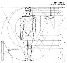 Résultat de recherche d'images pour "nombre d'or corps humain"