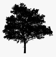 Tree silhouette clipart, black tree clip art, fingerprint tree, anniversary tree, wood clipart, decorative tree clip art, nature silhouettes. Oak Tree Silhouette Black Tree Png For Photoshop Transparent Png Transparent Png Image Pngitem