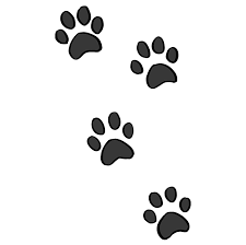 How To Draw Cat Paw Prints Really Easy Drawing Tutorial From furry dog and greyhounds to puppies, poodles and dalmatians, we can teach you how to draw all kinds of.