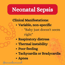 Image result for Neonatal Sepsis