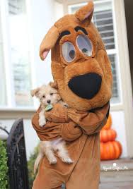 Everyone knows scooby doo and if you do too, you are going to love this scooby doo crochet pattern. Scooby Doo Gang Family Costume Repeat Crafter Me